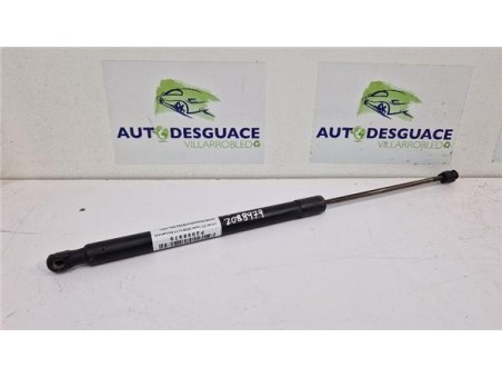 Amortiguador Porton Trasero Izquierdo Citroen C5 Tourer  2 0 Exclusive [2 0 Ltr  - 100 kW HDi FAP CAT ]