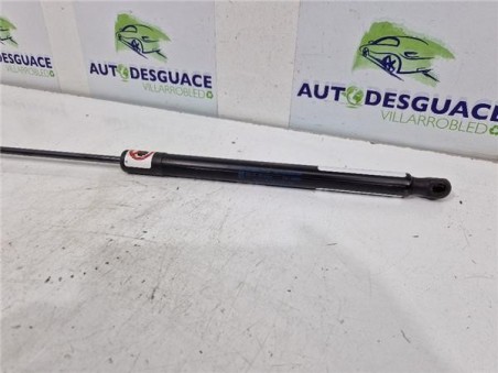 Amortiguador Porton Trasero Derecho Ford B-Max  1 5 Titanium [1 5 Ltr  - 55 kW TDCi CAT]