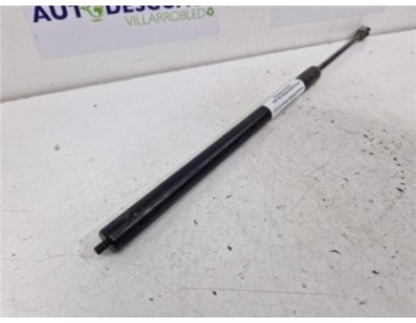 Amortiguador Porton Trasero Izquierdo Ssangyong KORANDO 2 0 