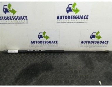 Amortiguador Porton Fiat DOBLO 1 3 16V JTD 