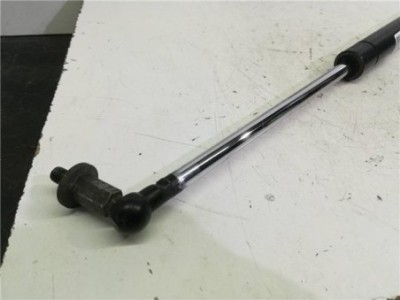 Amortiguador Porton Mitsubishi GRANDIS 2 0 DI-D