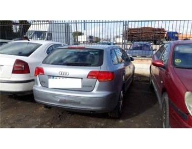 Piloto Porton Trasero Derecho Audi A3 2 0 TDI 
