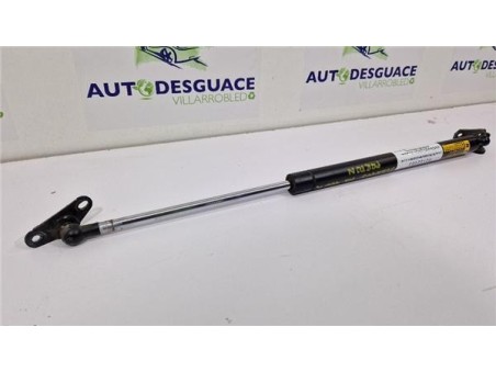 Amortiguador Porton Trasero Derecho Lexus RX  3 3 400h [3 3 Ltr  - 155 kW V6 24V CAT]