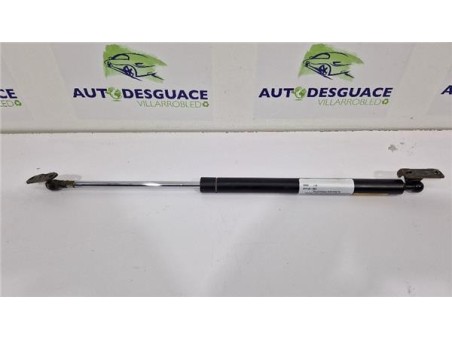 Amortiguador Porton Trasero Derecho Lexus RX  3 3 400h [3 3 Ltr  - 155 kW V6 24V CAT]