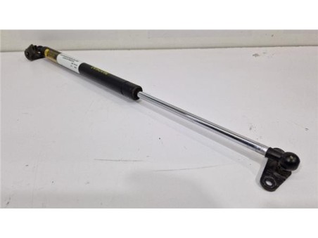 Amortiguador Porton Trasero Izquierdo Lexus RX  3 3 400h [3 3 Ltr  - 155 kW V6 24V CAT]