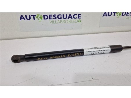 Amortiguador Porton Trasero Derecho Hyundai IX35 2 0 CRDi 