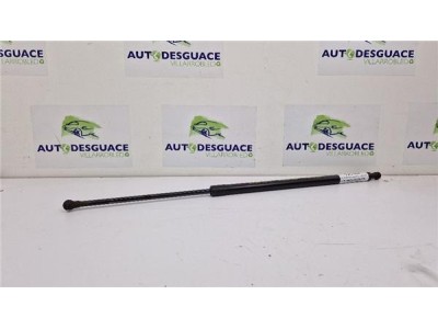 Amortiguador Porton Trasero Derecho Renault Scenic III  1 6 BOSE Edition [1 6 Ltr  - 96 kW dCi Diesel FAP]