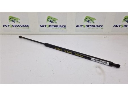 Amortiguador Porton Trasero Derecho Renault Scenic III  1 6 BOSE Edition [1 6 Ltr  - 96 kW dCi Diesel FAP]