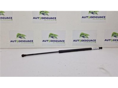 Amortiguador Porton Trasero Izquierdo Renault Scenic III  1 6 BOSE Edition [1 6 Ltr  - 96 kW dCi Diesel FAP]