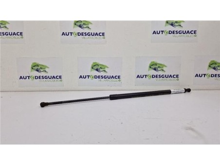 Amortiguador Porton Trasero Izquierdo Renault Scenic III  1 6 BOSE Edition [1 6 Ltr  - 96 kW dCi Diesel FAP]