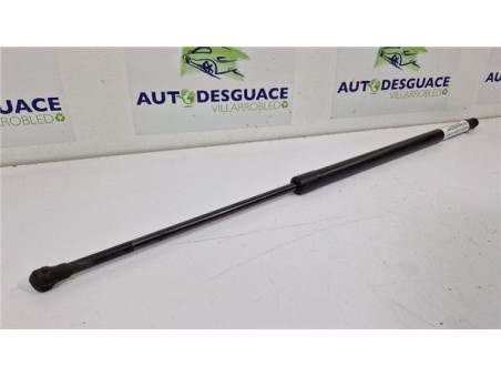 Amortiguador Porton Trasero Izquierdo Renault Scenic III  1 6 BOSE Edition [1 6 Ltr  - 96 kW dCi Diesel FAP]