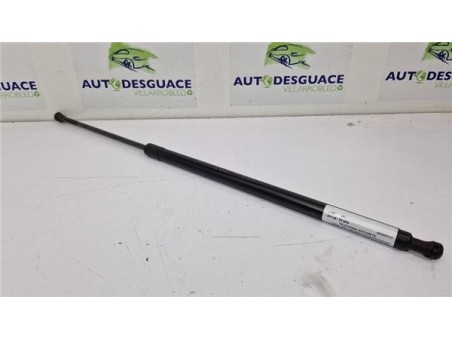 Amortiguador Porton Trasero Izquierdo Renault Scenic III  1 6 BOSE Edition [1 6 Ltr  - 96 kW dCi Diesel FAP]