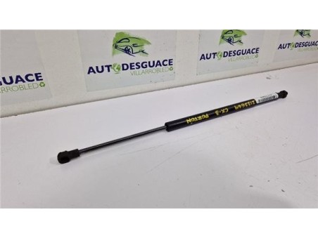 Amortiguador Porton Trasero Derecho Mazda CX-3  1 5 Center-Line [1 5 Ltr  - 77 kW Diesel CAT]