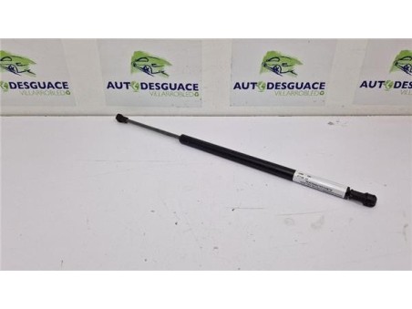 Amortiguador Porton Trasero Izquierdo Mazda CX-3  1 5 Center-Line [1 5 Ltr  - 77 kW Diesel CAT]