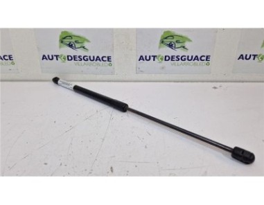 Amortiguador Porton Trasero Izquierdo Volkswagen Polo V  1 6 Advance [1 6 Ltr  - 66 kW TDI]