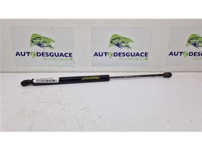 Amortiguador Porton Trasero Derecho Fiat Freemont  2 0 Basis [2 0 Ltr  - 103 kW 16V Multijet CAT]