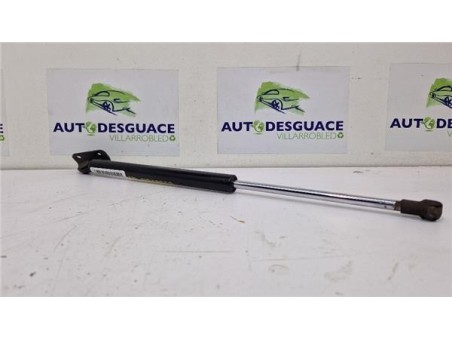 Amortiguador Porton Trasero Izquierdo Citroen C4 Aircross  1 6 Collection 2WD [1 6 Ltr  - 84 kW HDi FAP]