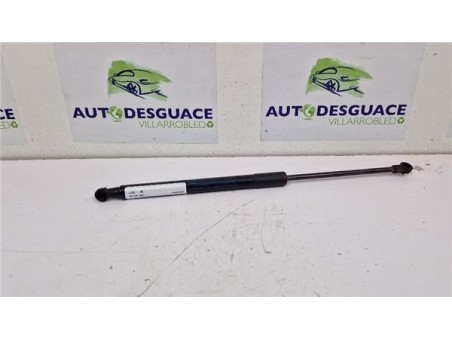 Amortiguador Porton Trasero Derecho Toyota Yaris  1 3 Active [1 3 Ltr  - 73 kW 16V CAT]