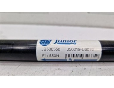 Amortiguador Porton Trasero Izquierdo Dodge Journey  2 0 SE [2 0 Ltr  - 103 kW 16V CRD CAT]