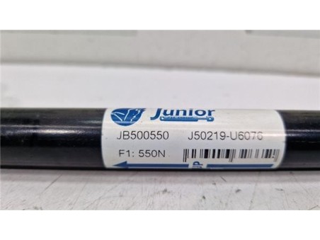 Amortiguador Porton Trasero Izquierdo Dodge Journey  2 0 SE [2 0 Ltr  - 103 kW 16V CRD CAT]