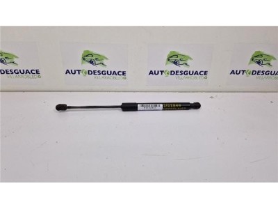 Amortiguador Porton Trasero Derecho Opel Crossland X  1 2 Design Line [1 2 Ltr  - 81 kW]