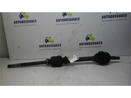 Transmision Delantera Derecha Peugeot 306 BERLINA 3/4/5 PUERTAS 1 9 D 