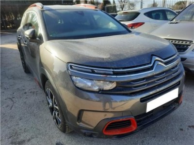 Maneta Exterior Porton Citroen C5 Aircross  1 5 Feel [1 5 Ltr  - 96 kW Blue-HDI FAP]