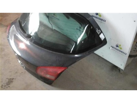 Porton Trasero Renault VEL SATIS 2 2 dCi Turbodiesel 