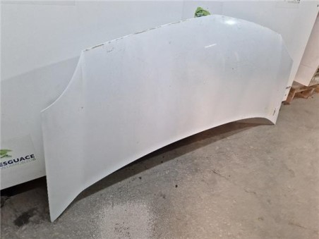 Capo Renault Kangoo II  1 5 Dynamique  All Road  [1 5 Ltr  - 66 kW dCi Diesel FAP]