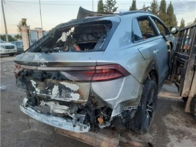 Grupo Diferencial Trasero Audi Q8  híbrido-suave 50 TDI quattro [híbrido-suave 210 kW ] 2