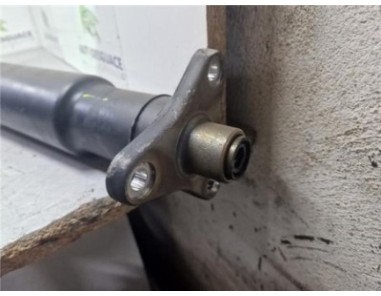 Eje Transmision Trasera BMW Serie 3 Berlina  2 0 320d [2 0 Ltr  - 130 kW Turbodiesel CAT]