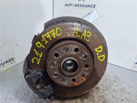 Mangueta Delantera Derecha Audi A3  1 6 TDI Ambiente [1 6 Ltr  - 77 kW TDI]