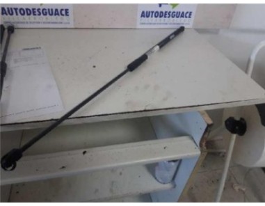 Amortiguador Capo Opel INSIGNIA BERLINA 2 0 CDTI 