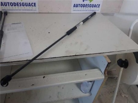 Amortiguador Capo Opel INSIGNIA BERLINA 2 0 CDTI 