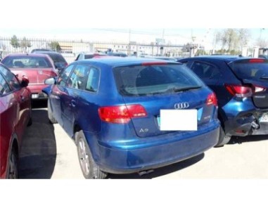 Piloto Trasero Derecho Audi A3 1 9 TDI 