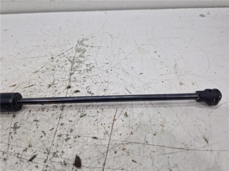 Amortiguador Porton Trasero Izquierdo Opel Corsa F  1 5 GS Line [1 5 Ltr  - 75 kW CDTI DPF]