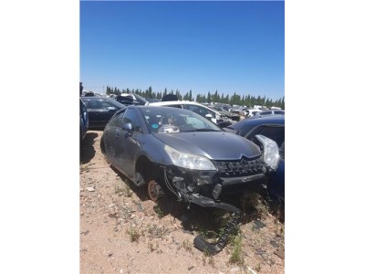 Amortiguador Delantero Izquierdo Citroen C4 Berlina  1 4 16V