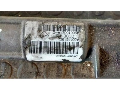 Cremallera Direccion Asistida Renault SCENIC III 1 9 dCi D