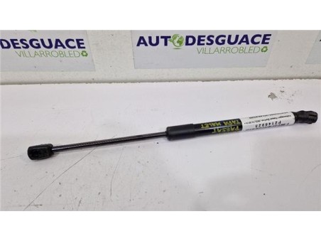 Amortiguador Tapa Maletero Volkswagen Passat Berlina  1 8 Advance [1 8 Ltr  - 118 kW 16V TSI]