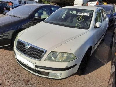 Maneta Exterior Delantera Izquierda Skoda OCTAVIA BERLINA 1 9 TDI  2