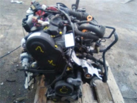 Motor Completo Volkswagen PASSAT BERLINA 1 9 TDI 