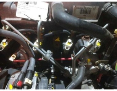 Motor Completo Ford FOCUS BERLINA 1 8 TDDI Turbodiesel 