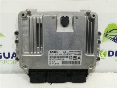 Centralita Citroen C5 Berlina  1 6 Premier  [1 6 Ltr  - 80 kW HDi CAT ]