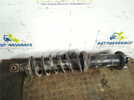 Amortiguador Trasero Derecho Lexus IS200 2 2 D-CAT 