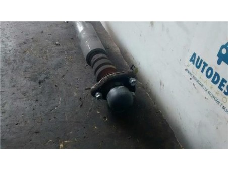 Amortiguador Trasero Derecho BMW X3 2 0 16V D 