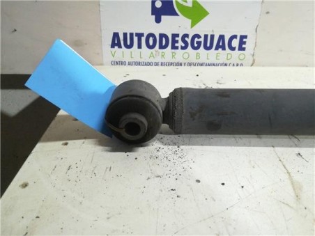 Amortiguador Trasero Izquierdo Hyundai I10 1 0 