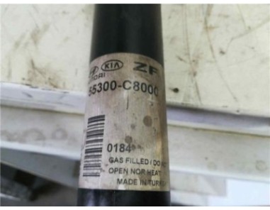 Amortiguador Trasero Izquierdo Hyundai I20 1 2 16V 