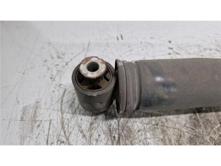 Amortiguador Trasero Izquierdo Renault Scenic III  1 6 BOSE Edition [1 6 Ltr  - 96 kW dCi Diesel FAP]