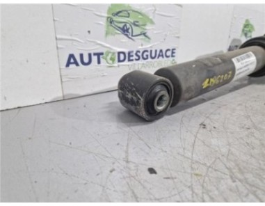 Amortiguador Trasero Izquierdo BMW Serie X5  3 0d [3 0 Ltr  - 135 kW 24V Turbodiesel CAT]