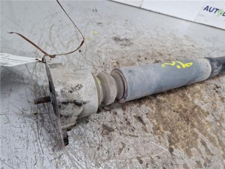 Amortiguador Trasero Derecho Ford Tourneo Courier  1 5 Titanium [1 5 Ltr  - 70 kW TDCi CAT]